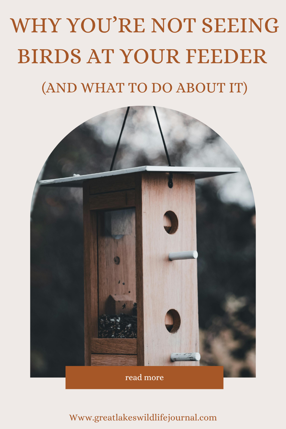 Why You’re Not Seeing Birds at Your Feeder (And What to Do About It)