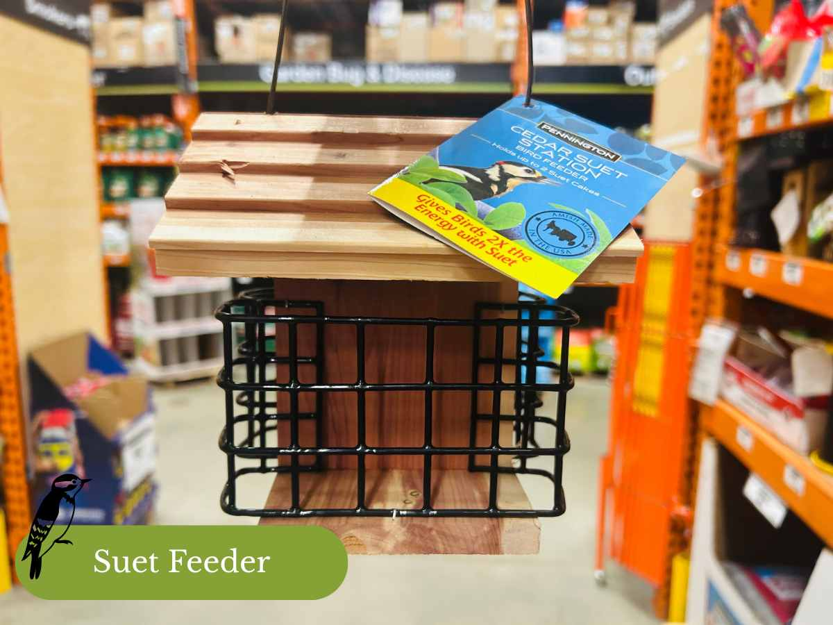 The 5 Best Bird Feeders for Your Yard