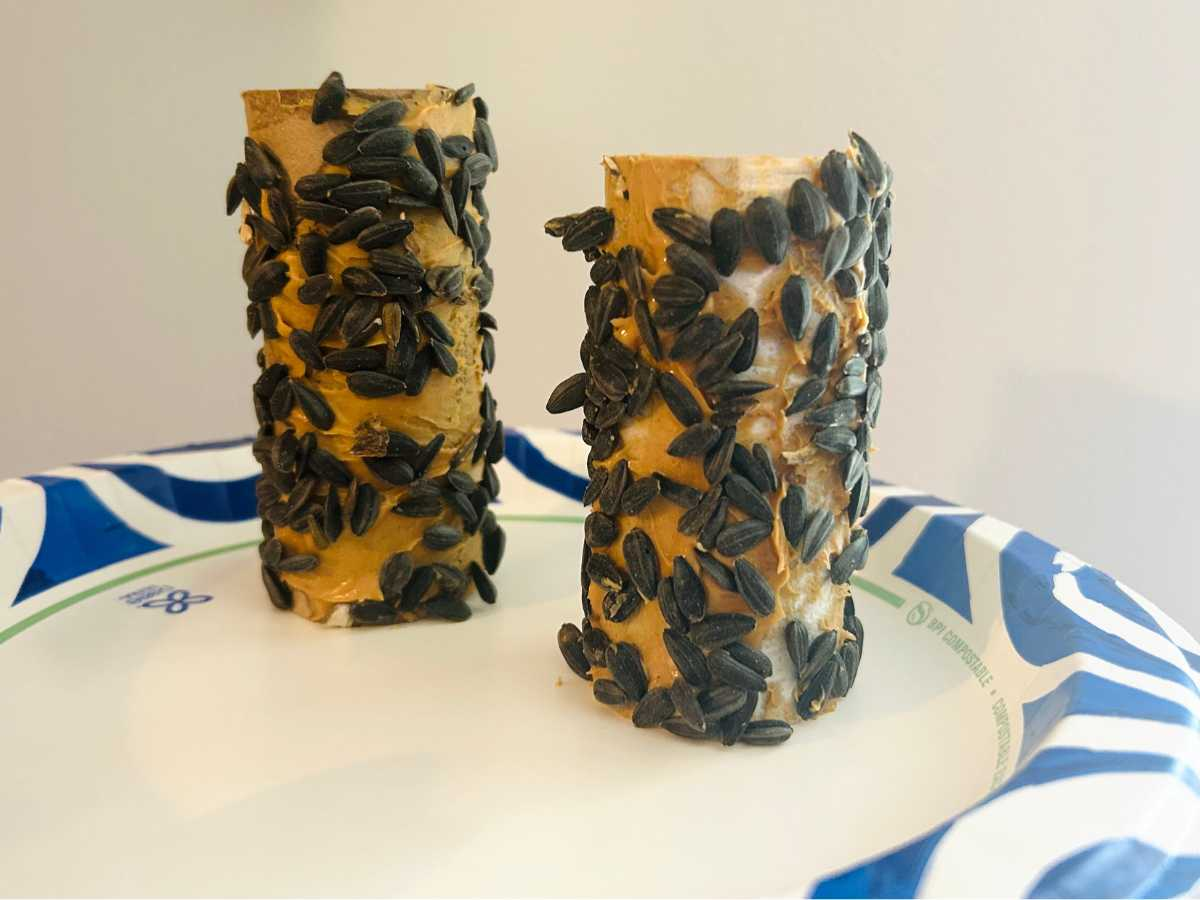 DIY Toilet Paper Roll Bird Feeder (Easy Craft for All Ages)