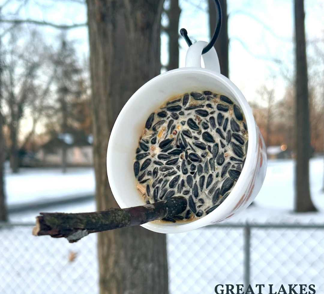 DIY Suet Feeder Mug for Backyard Birds